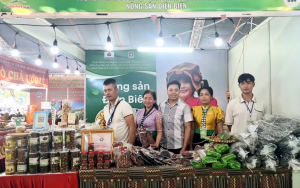 Các hộ SGB tham gia hội chợ lần này