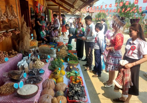 20260328_100846_1 (1)